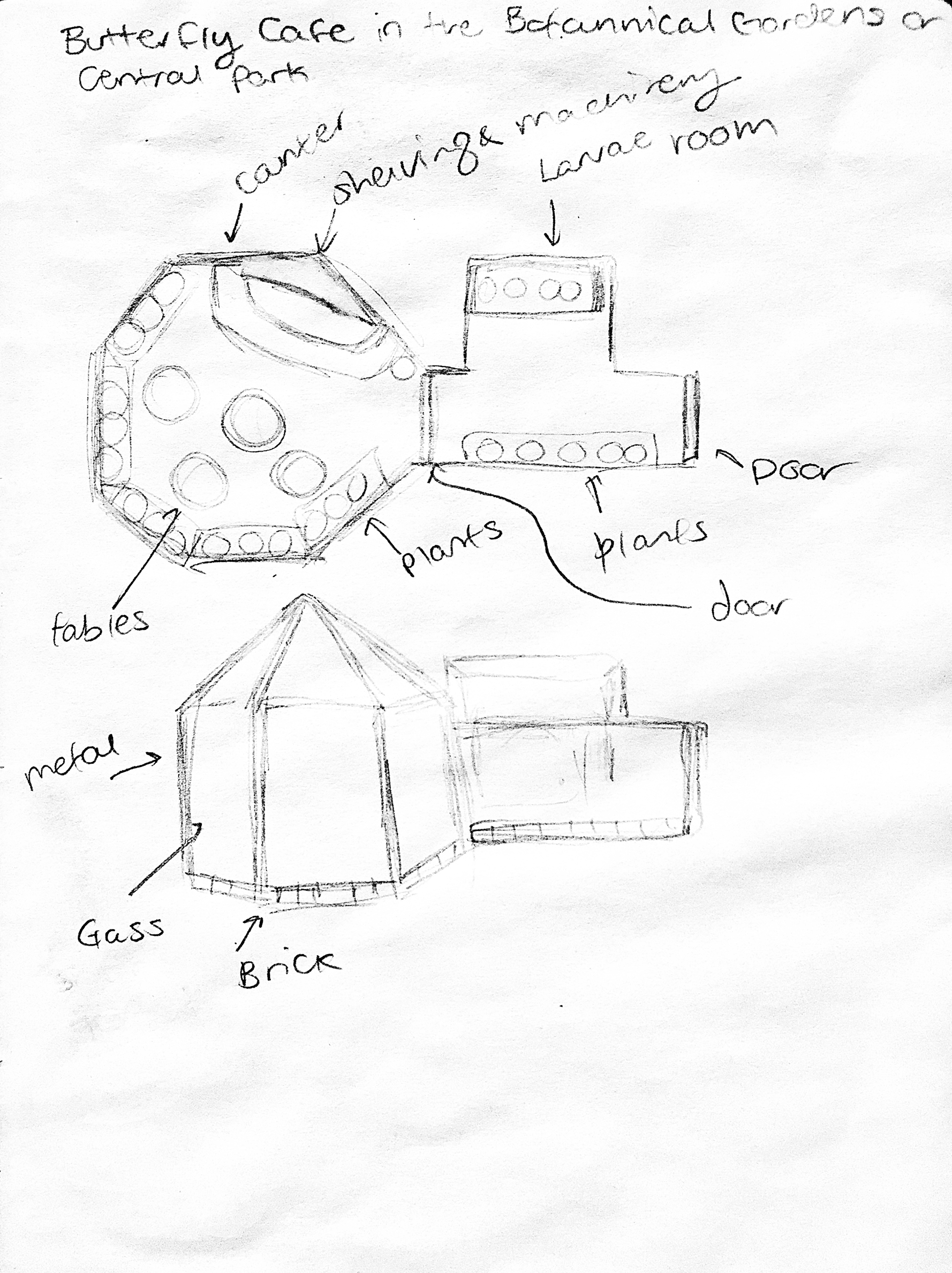 Loose sketch of cafe floor plans