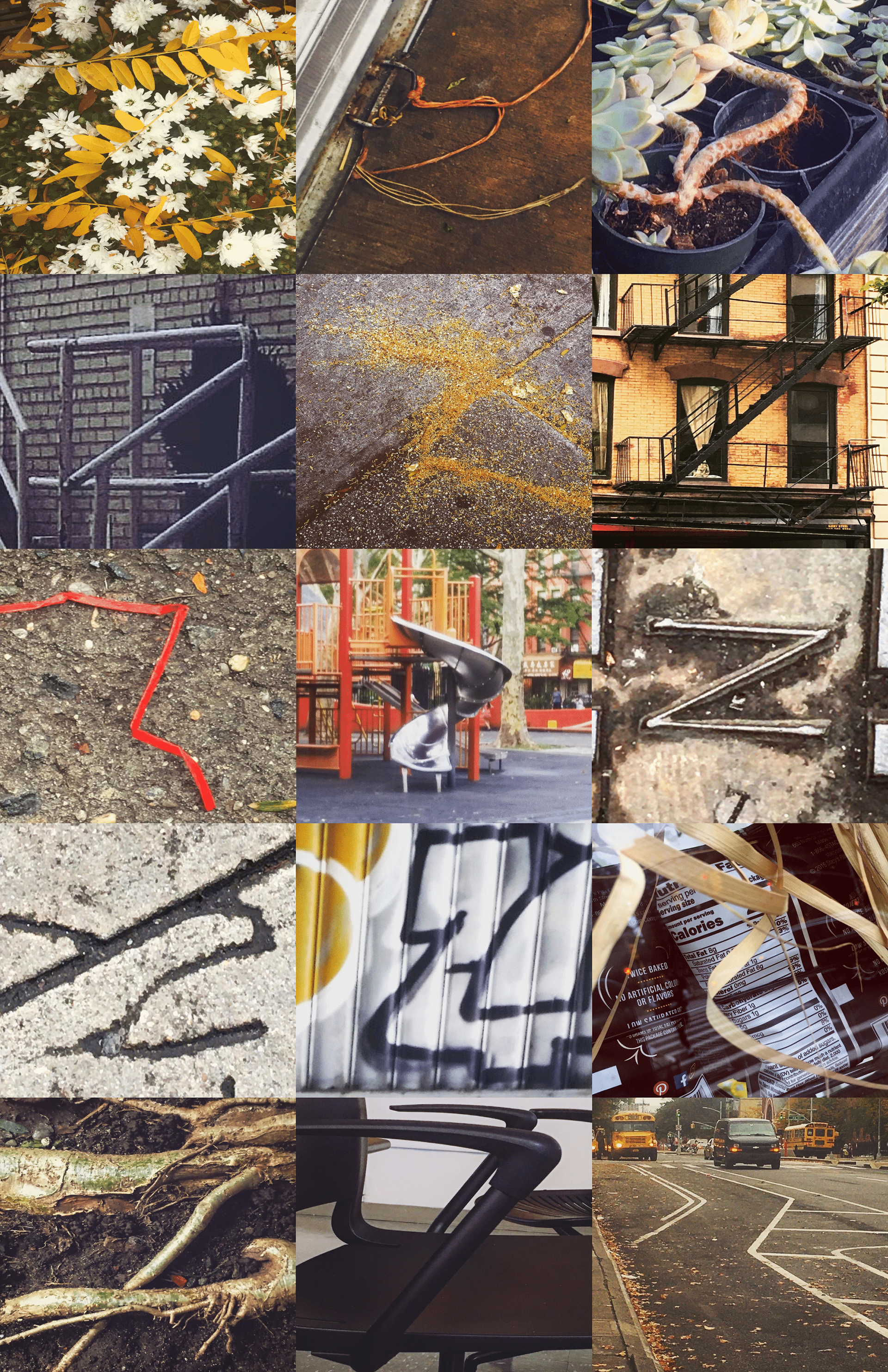 Found Letter Z | Medium: Photography / Photography Class/ 2021