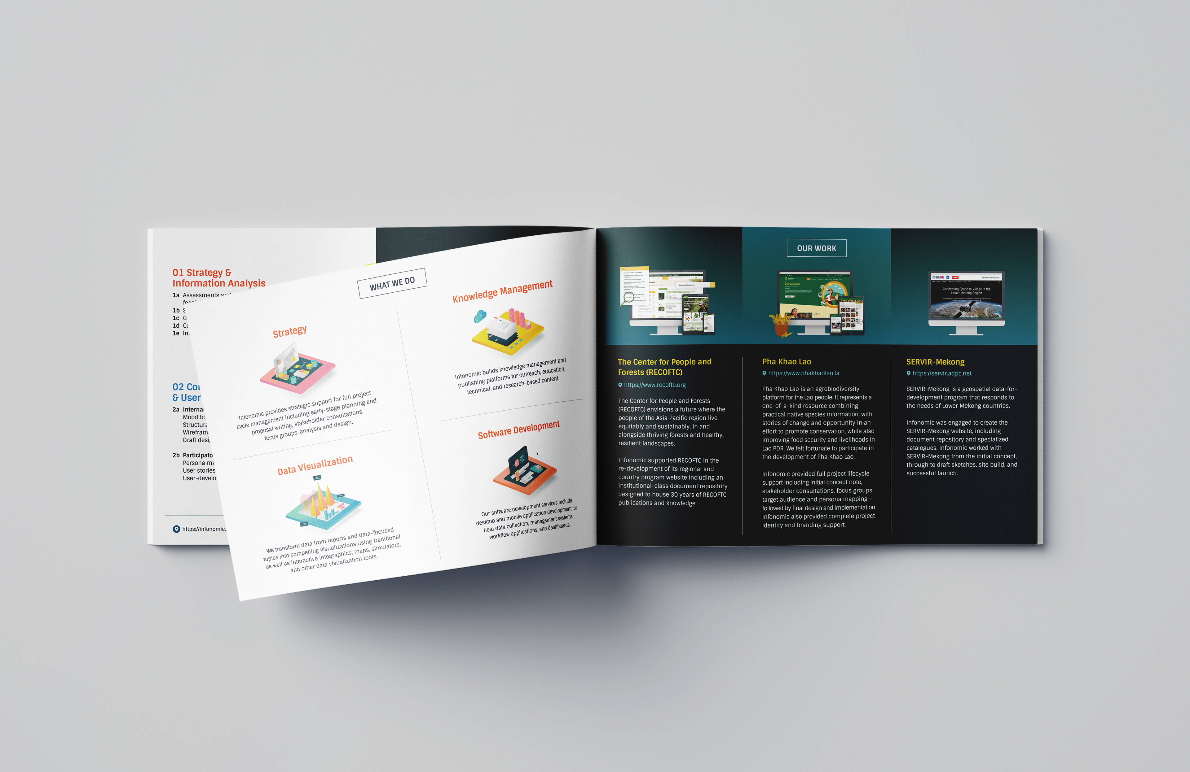 Infonomic-brochure-inside-pages