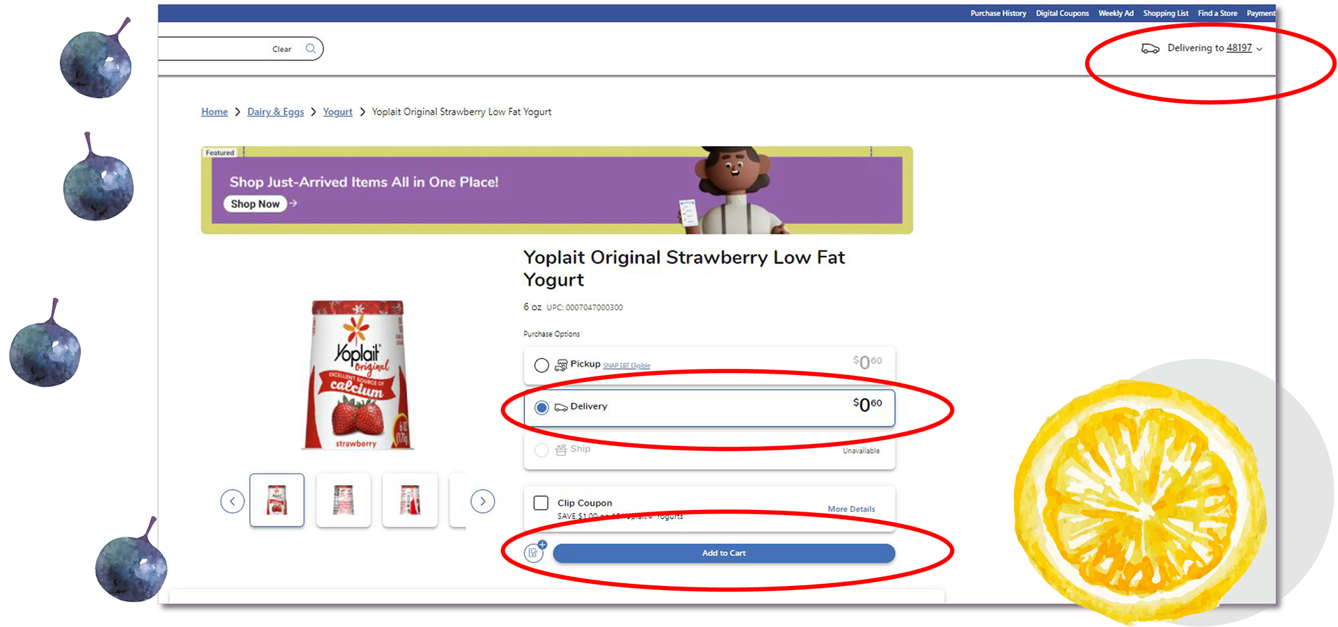 Yogurt detail page showing that the item can only be added to the Delivery cart