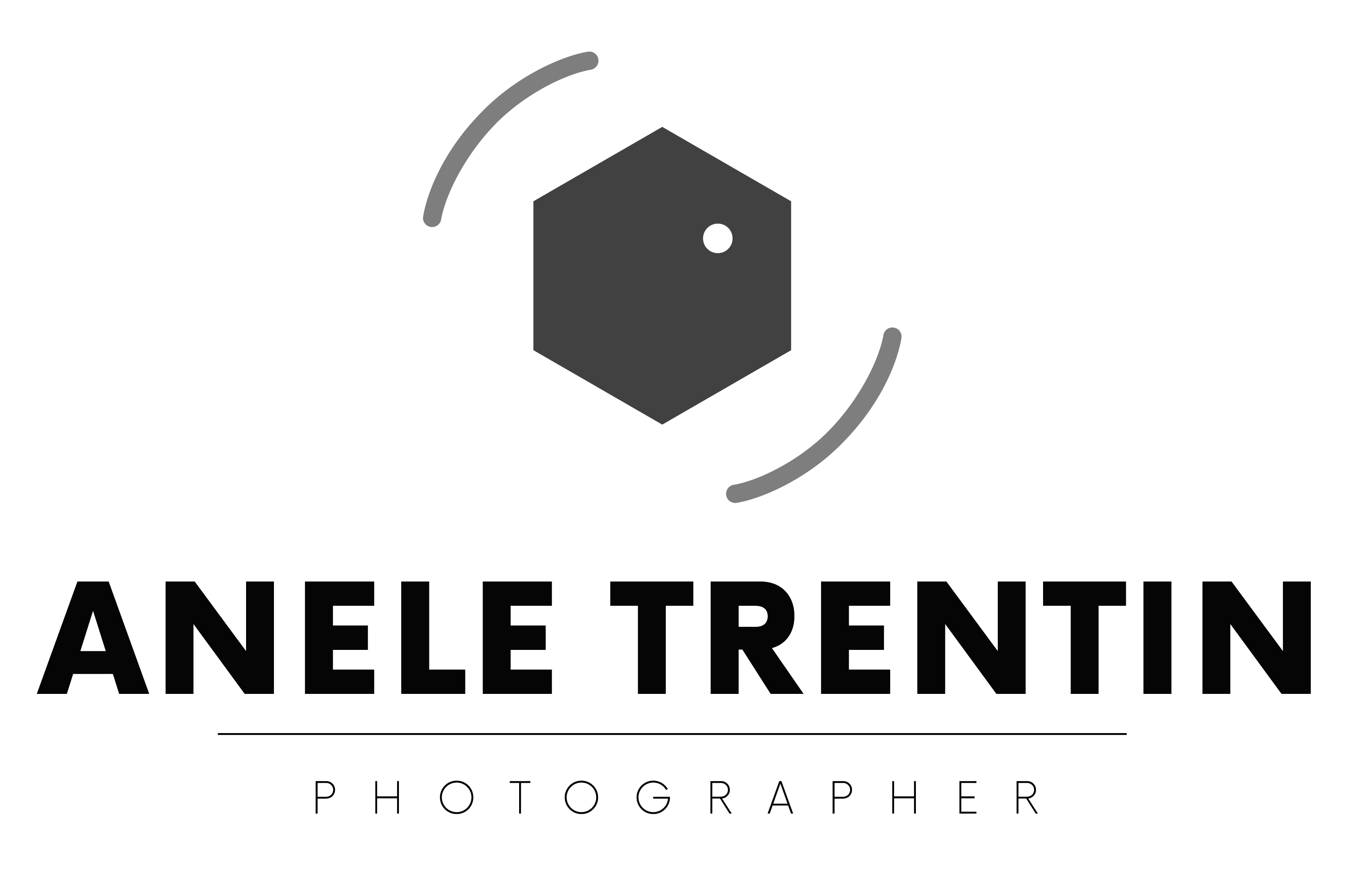 Anele Trentin logo