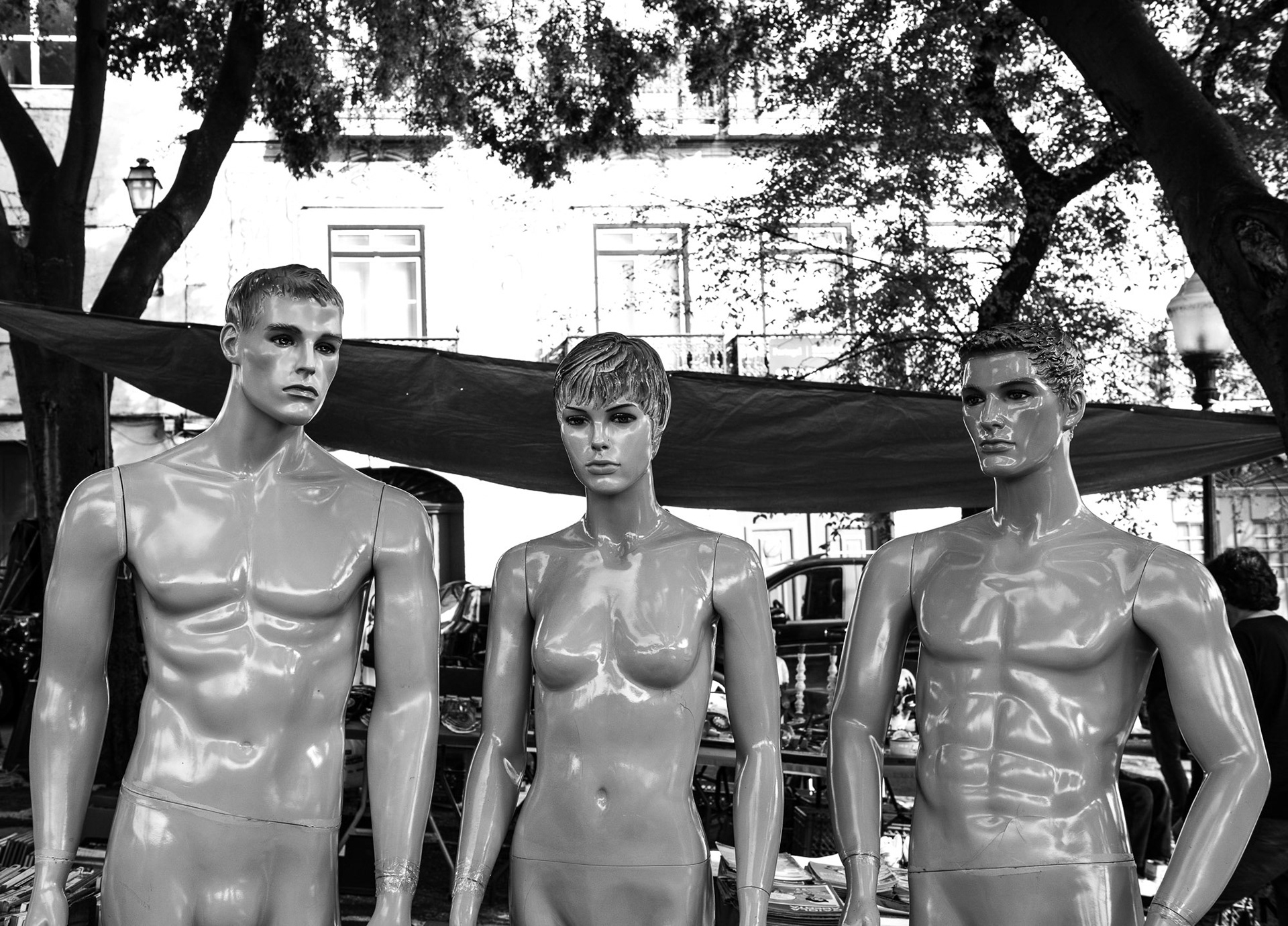 Three Model Tops
