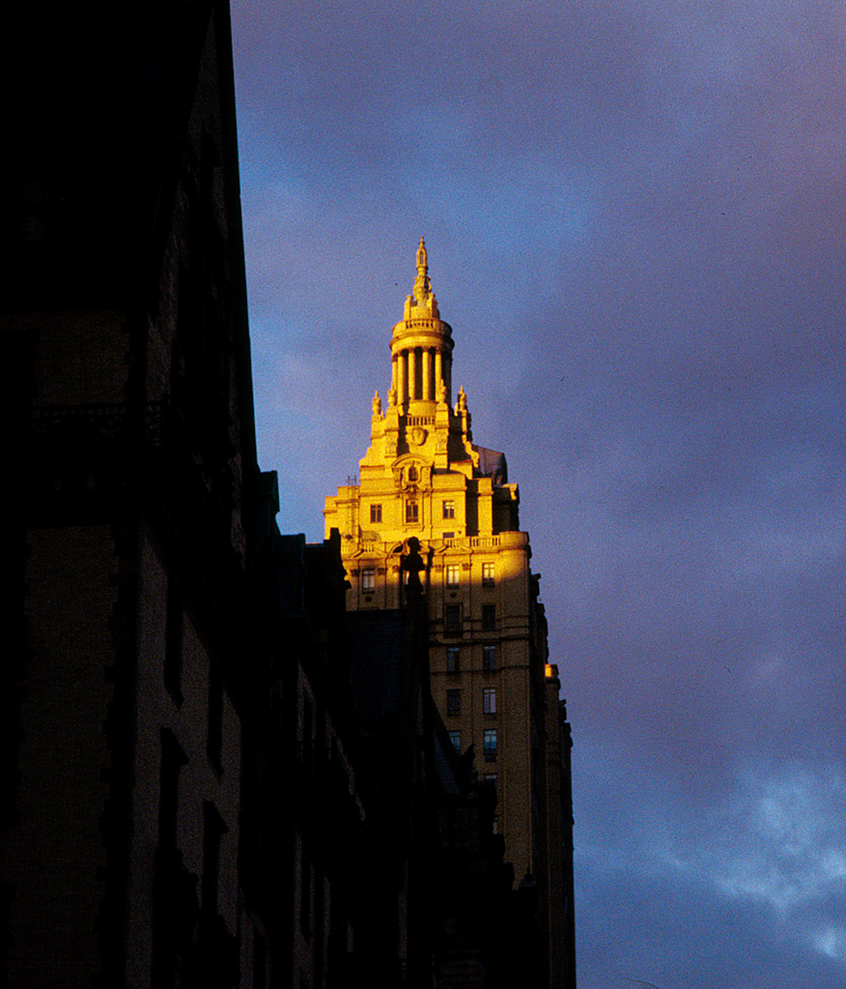New York Gold