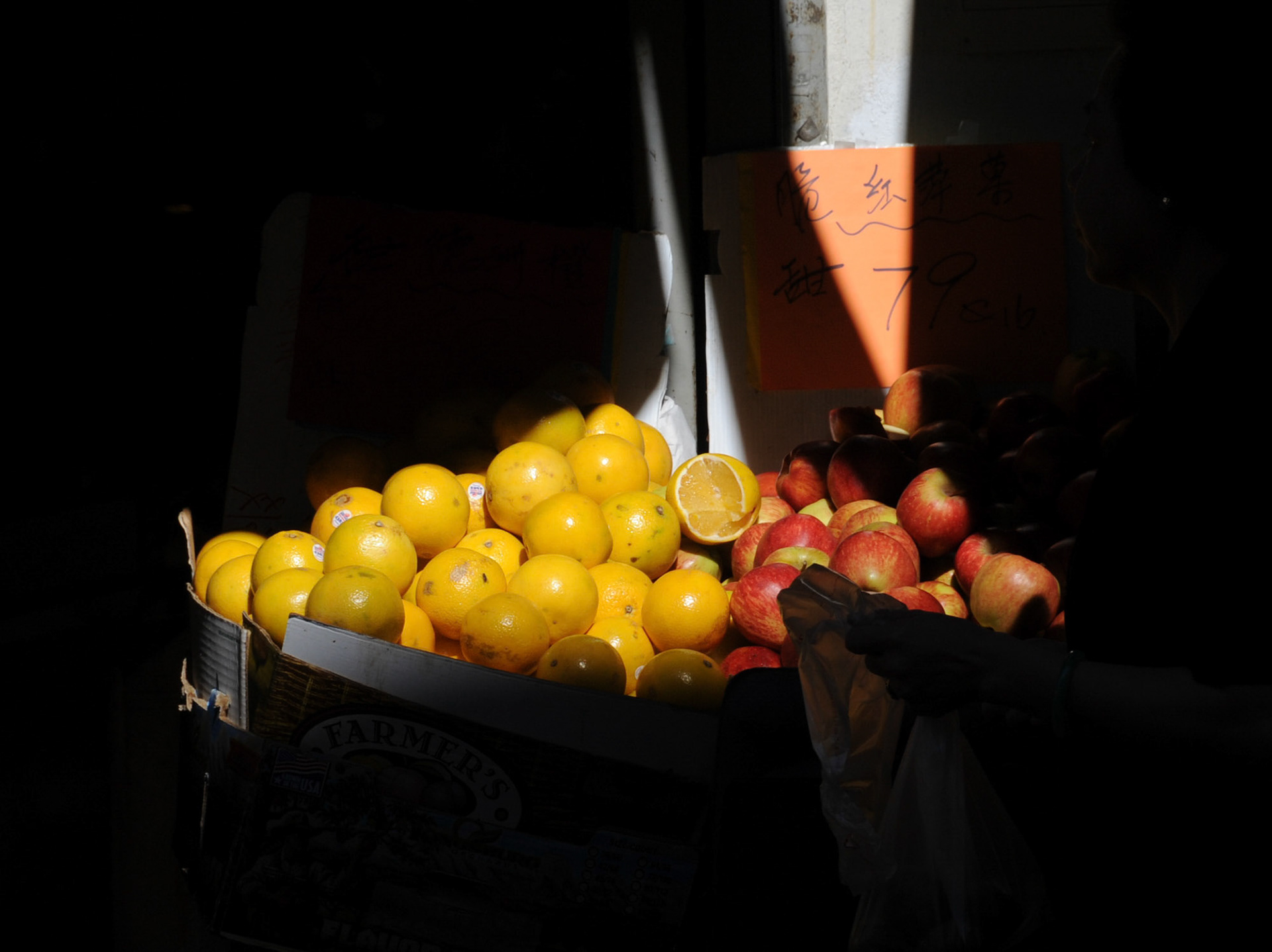 Fruit in the Sun