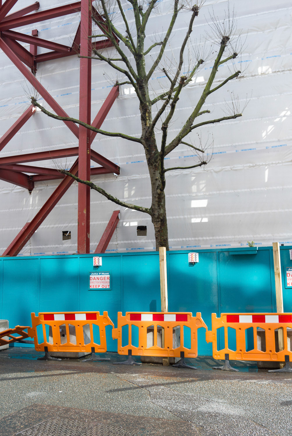 Scaffold Tree