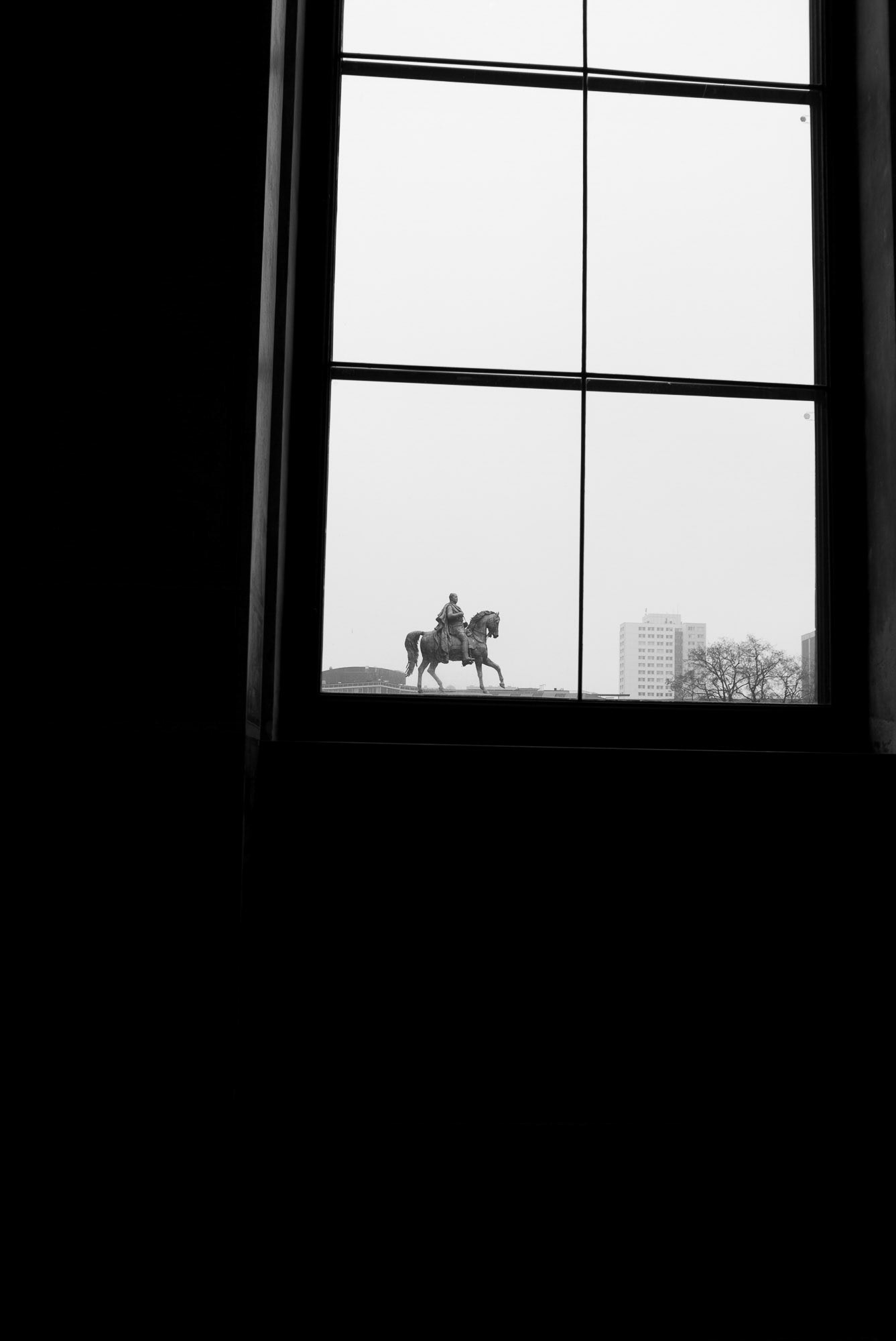 Tiny Horse