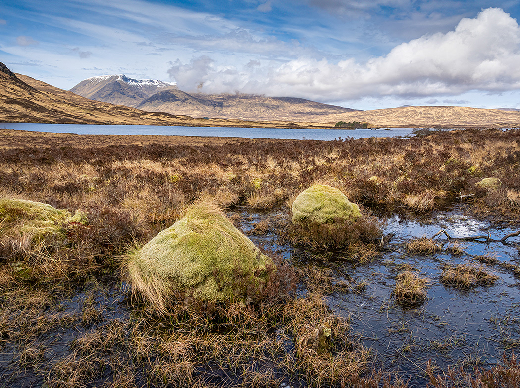 Rannoch Moor 1