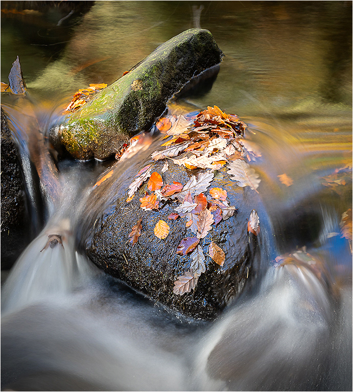 Padley Gorge