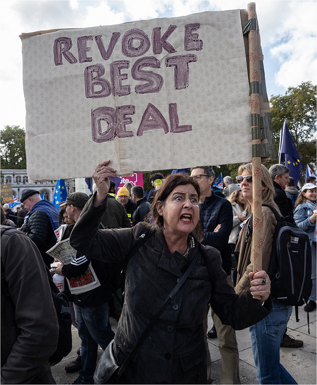 Protest March Brexit