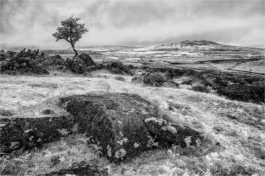 Dartmoor