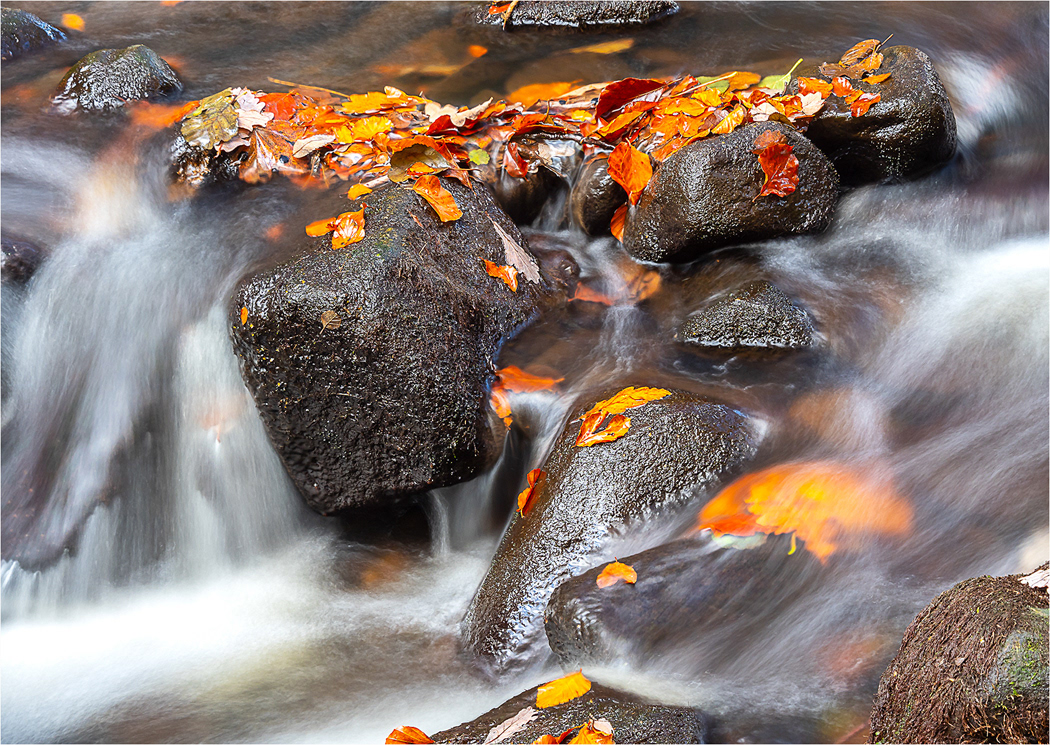 Padley Gorge