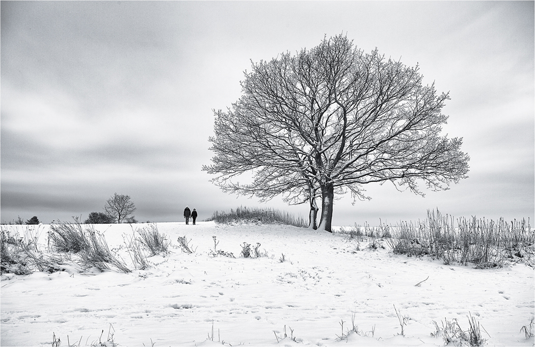 Winter Scene
