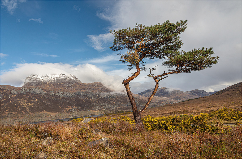 Torridon