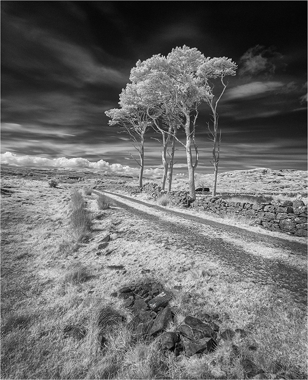 Infra Red