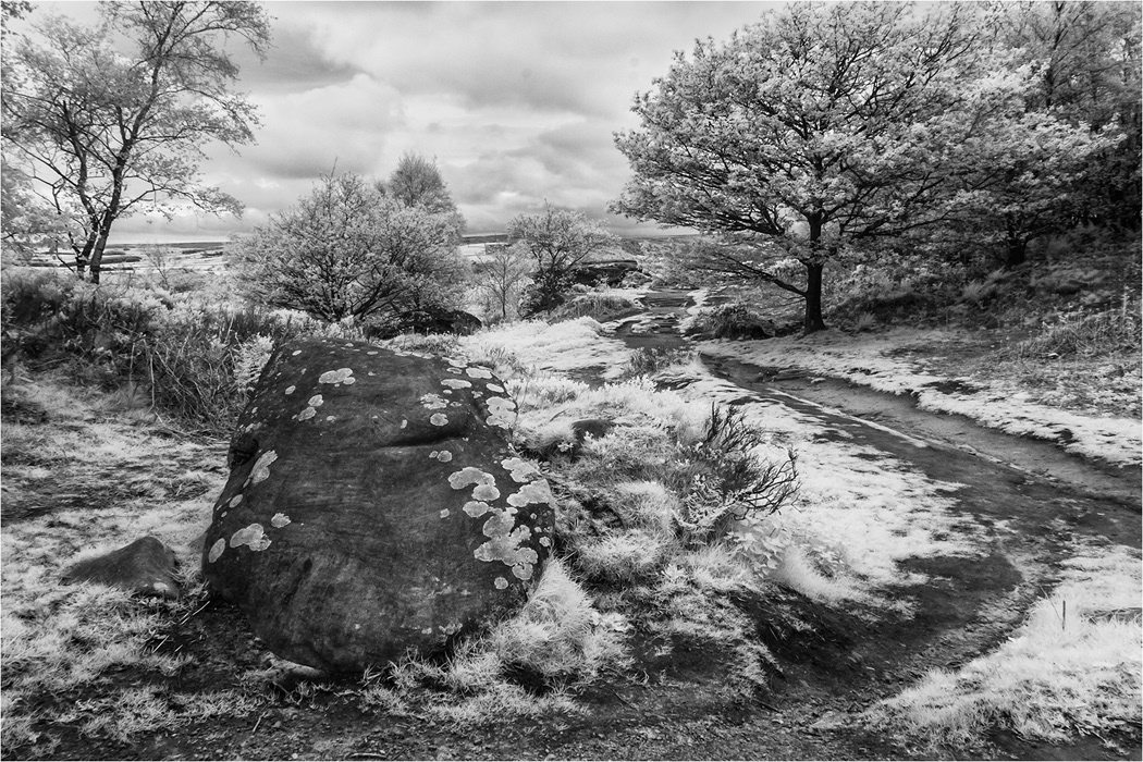 Brimham Rocks -Infra Red