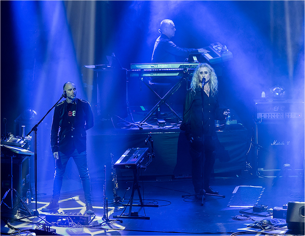 Steve Hackett