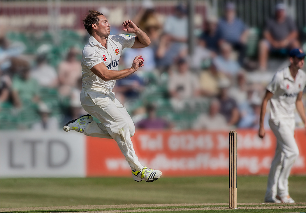 Cricket