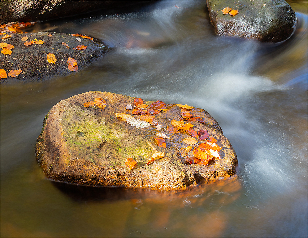 Padley Gorge