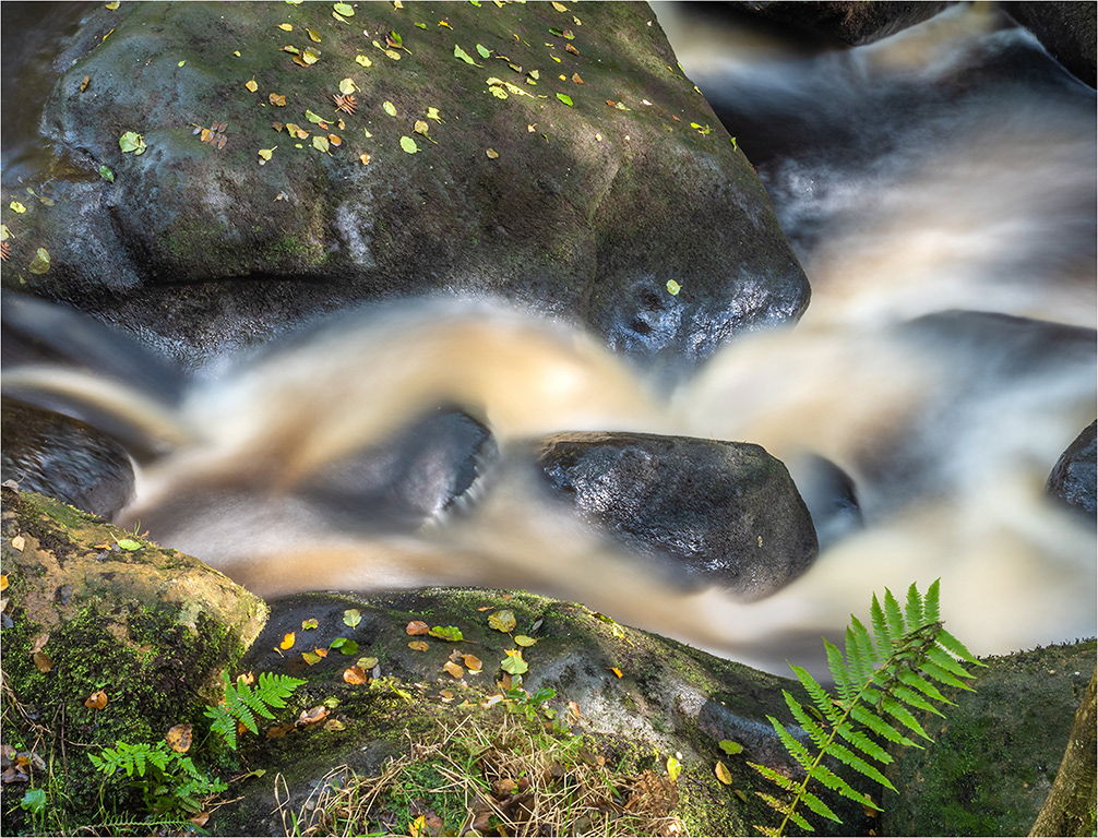 Peak District - Padley Gorge