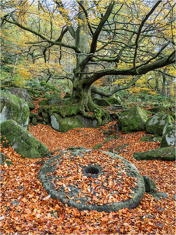 Peak District 7 - Padley Gorge Millstone
