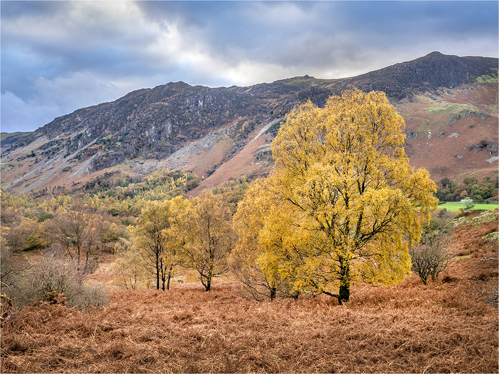 Borrowdale