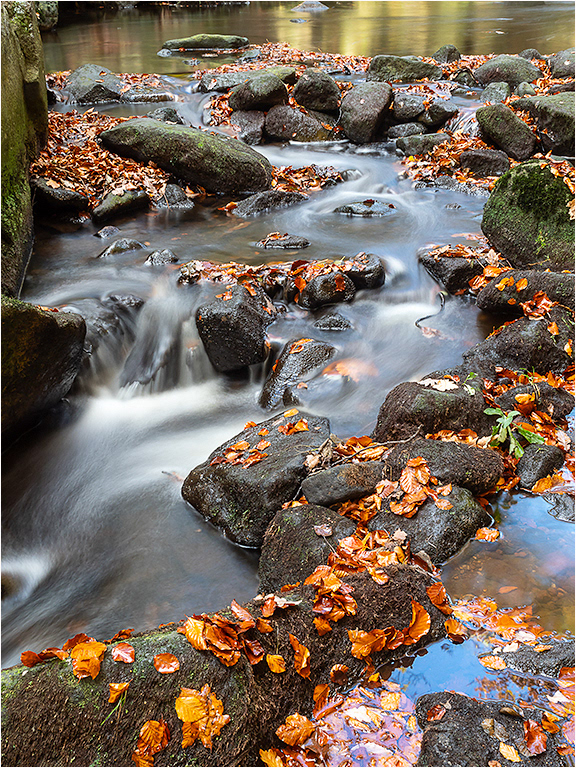 Padley Gorge