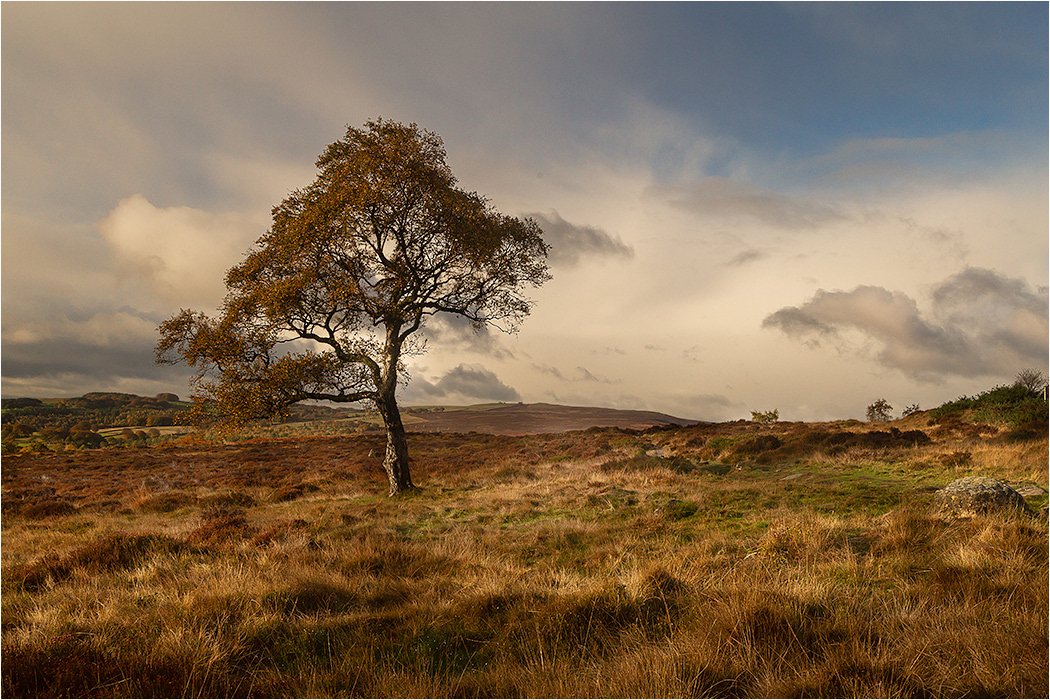 Looking towards Bolehill