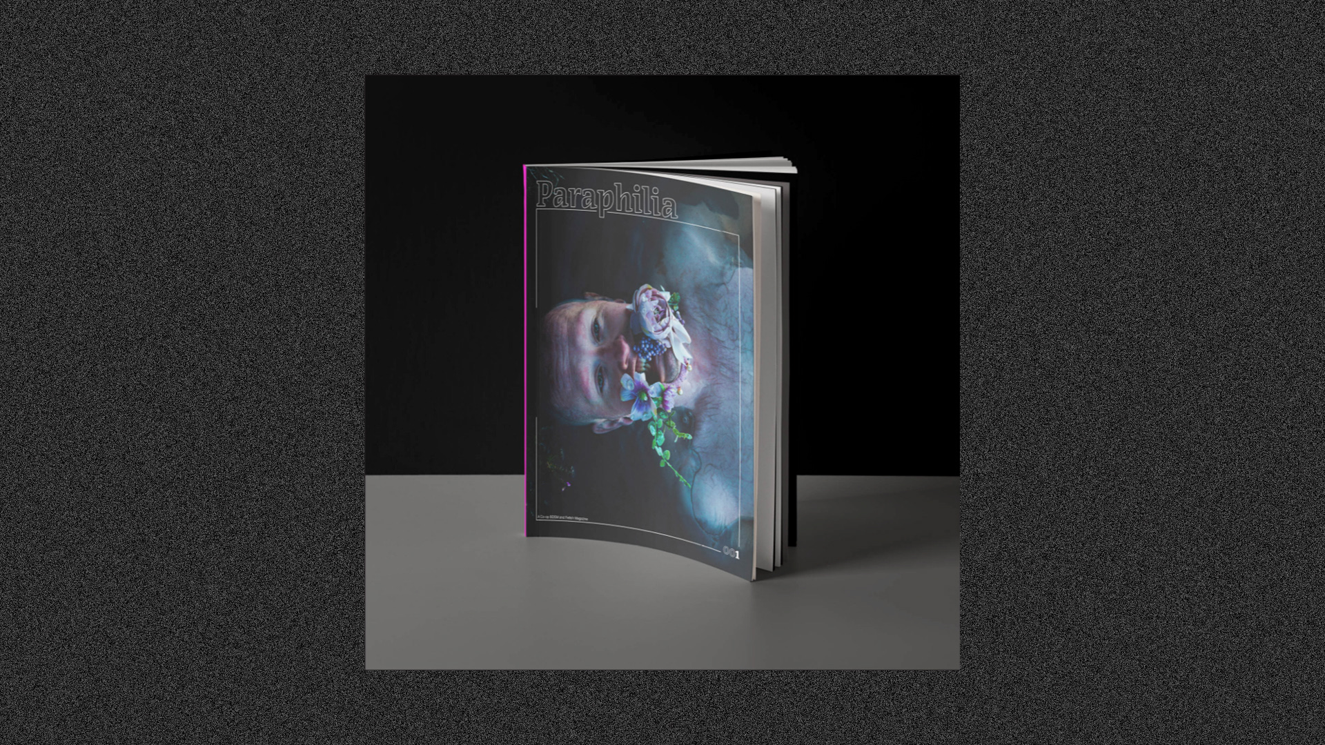 Paraphilia Collective, Festih co-operated magazine