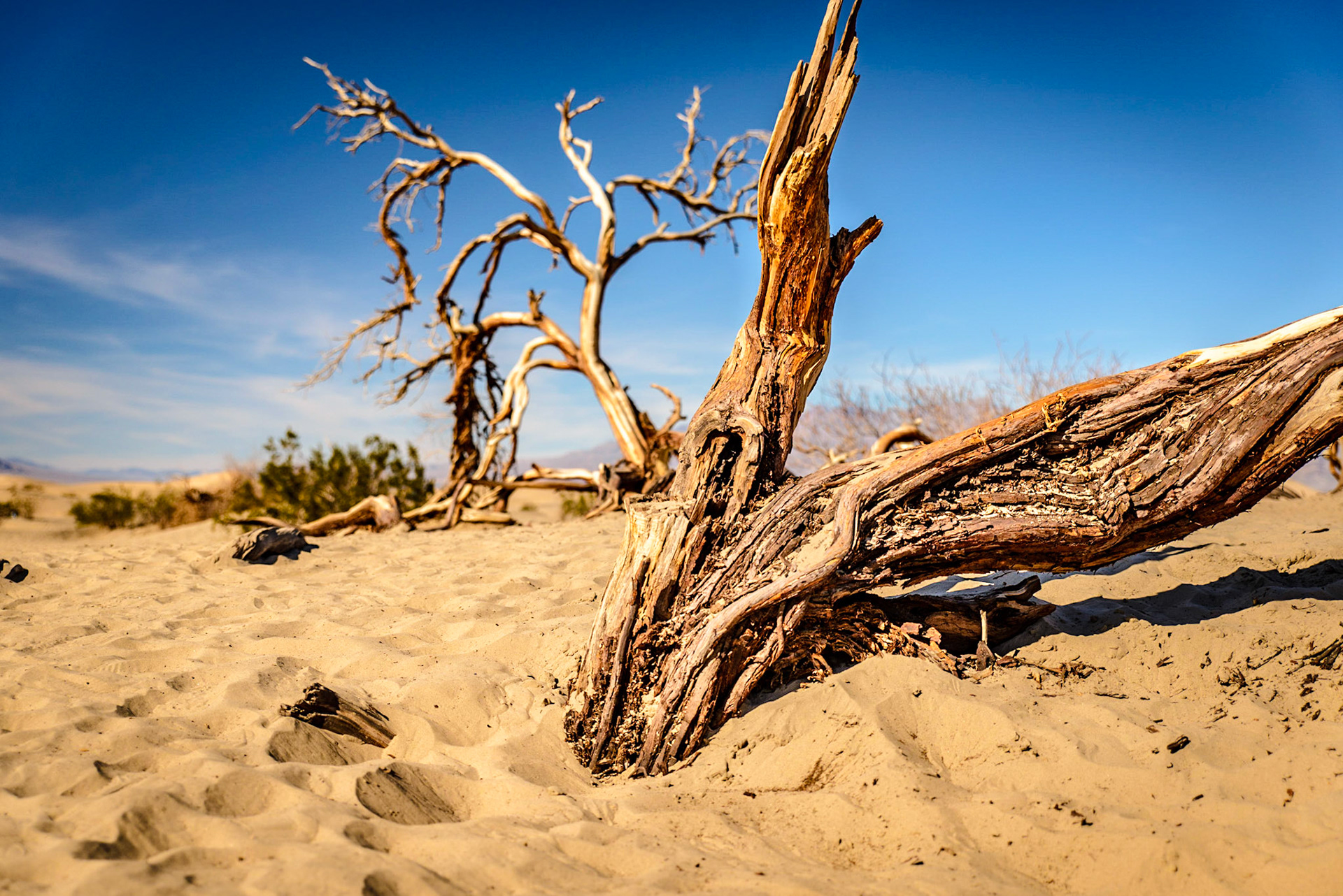 Mesquite Flat Sand Dunes, Death Valley