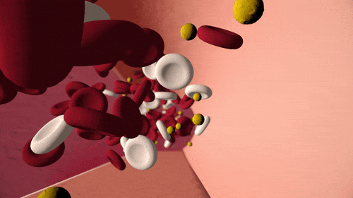 A 3D animation about checking your cholesterol