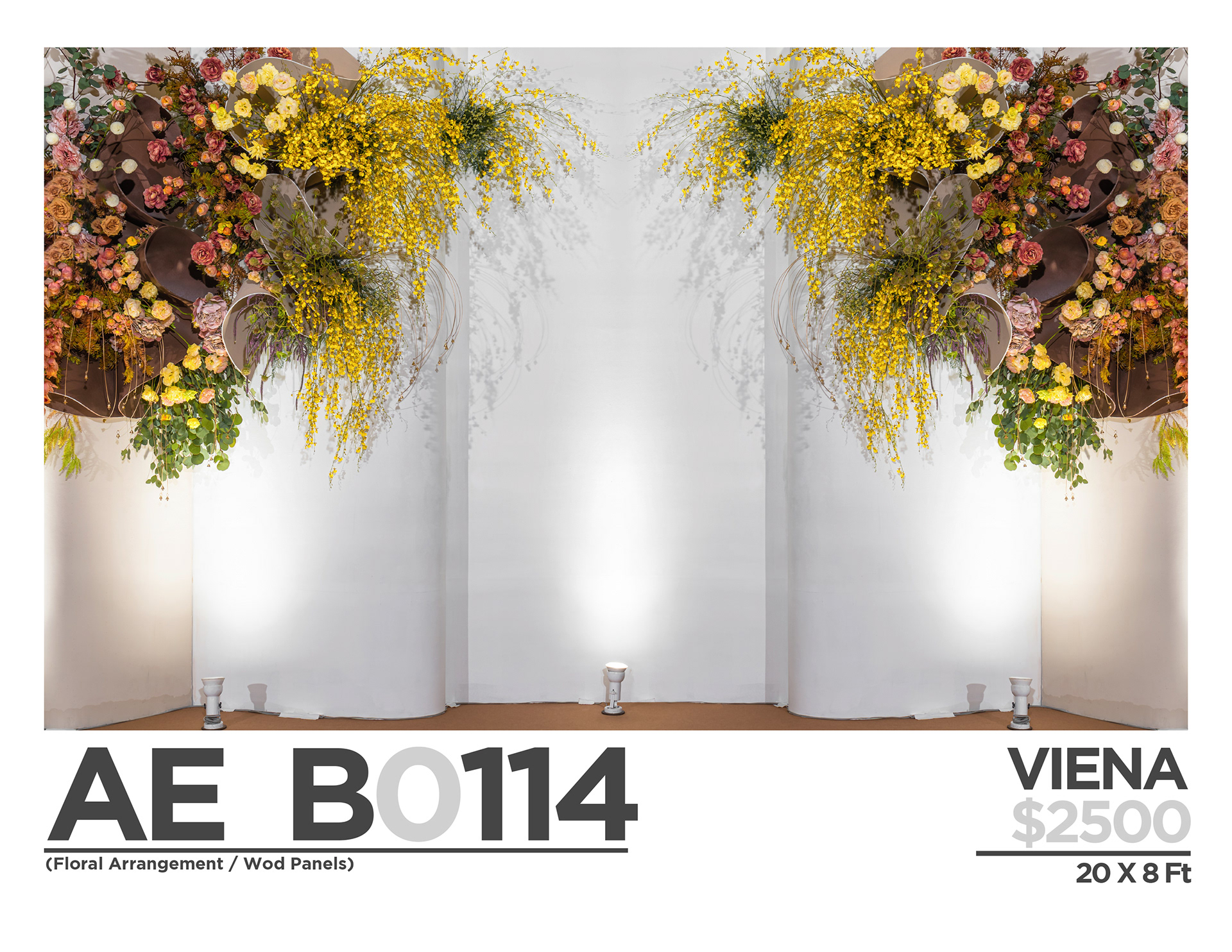 $ 2500 (ONLY BACKDROPS)