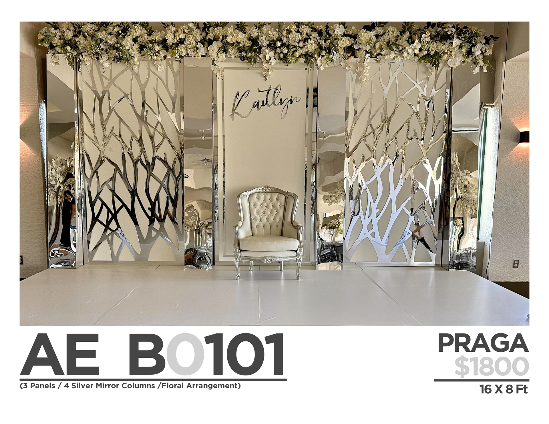 $ 1500 (ONLY BACKDROPS)