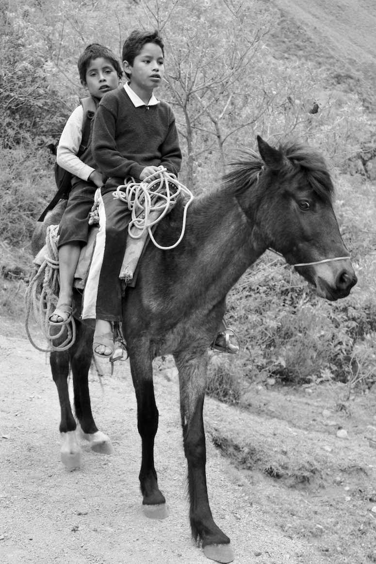Boys on a horse (village in the Machu Picchu mountains)