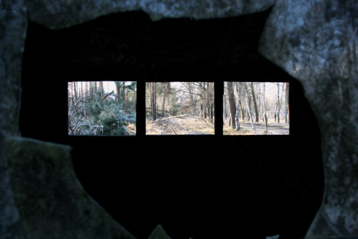 Insights (near Berlin)