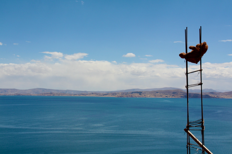 Stranded teddy bear (Lake Titicaca, Peru)