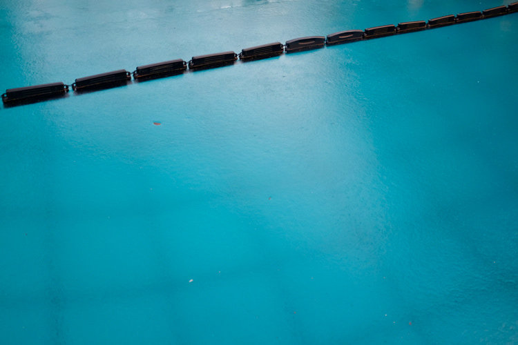 Floaters on frozen water (Brussels, Belgium)
