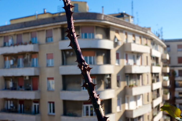 Thorny modernism (Rome, Italy)