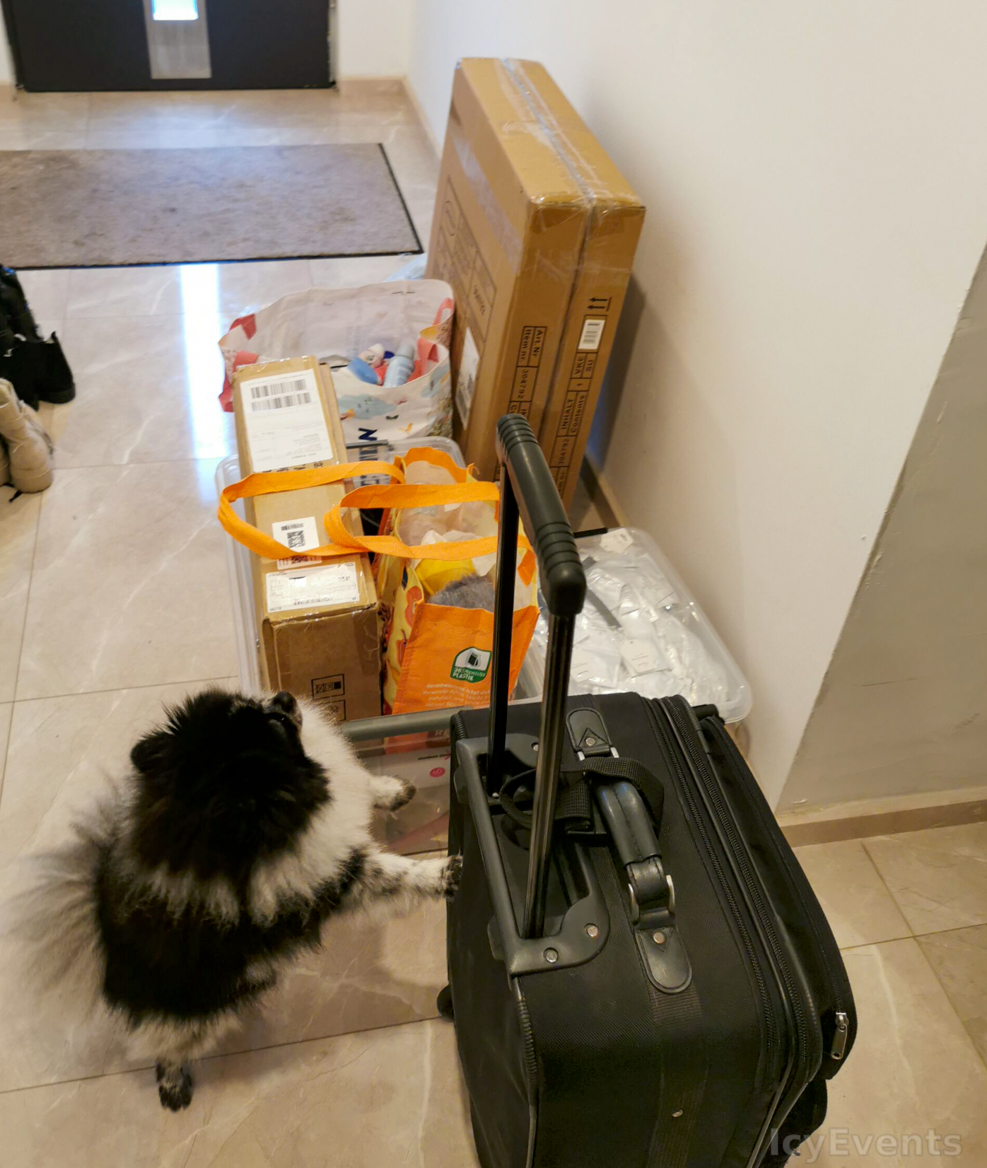 alles gepackt, ab gehts