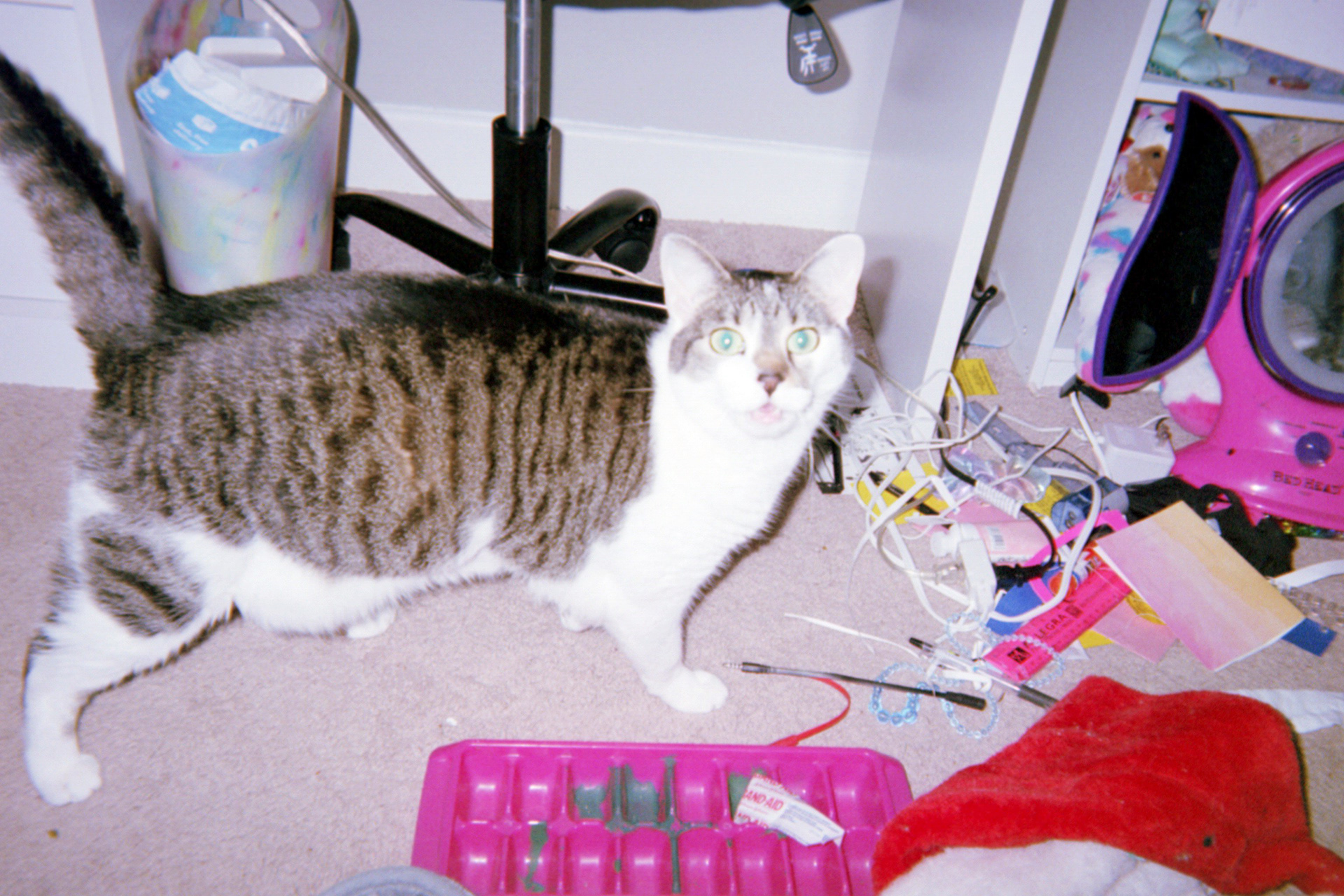 "Lily and The Wires", 2020