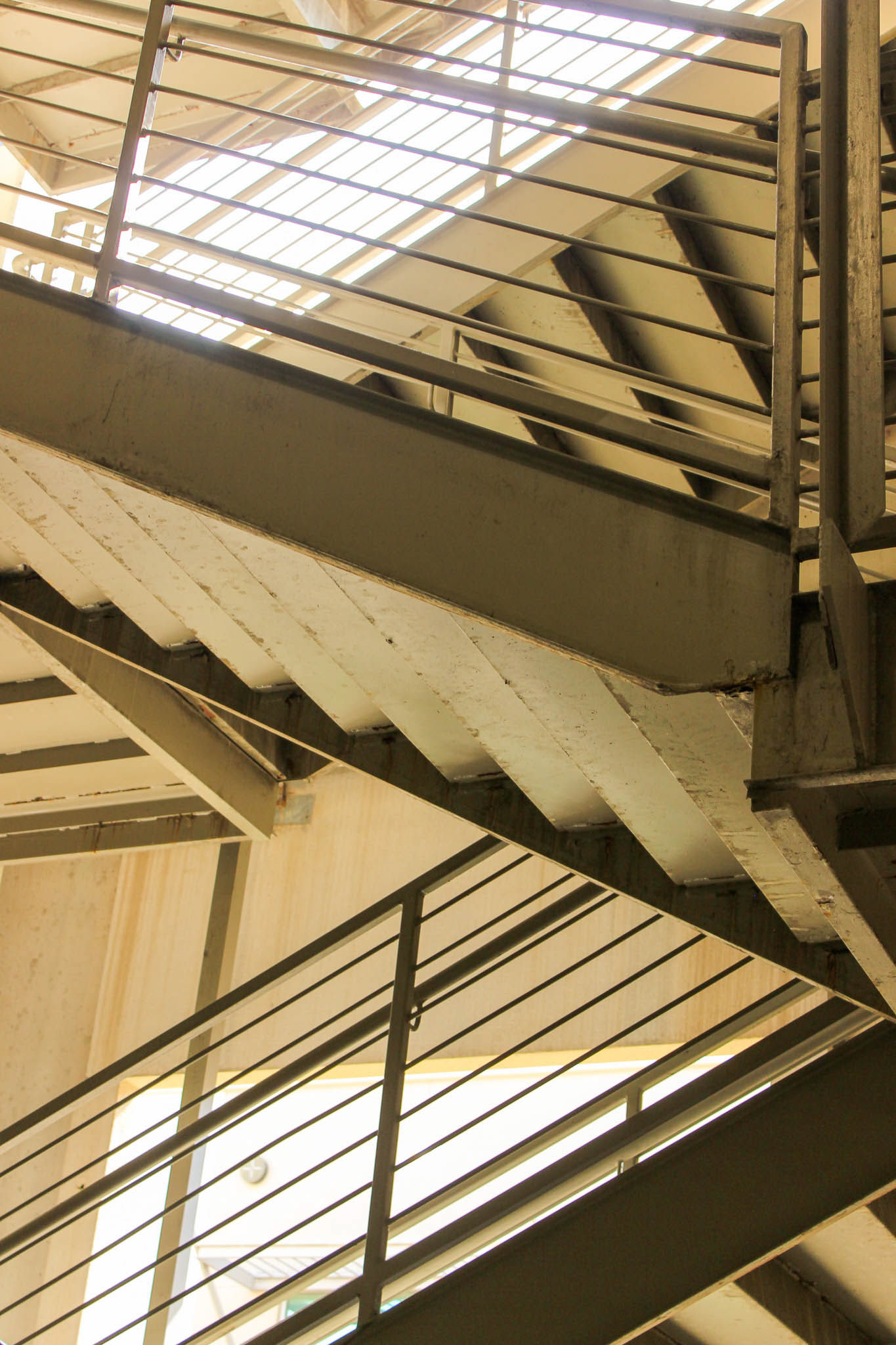 Stare This Way, Photograph, 2023