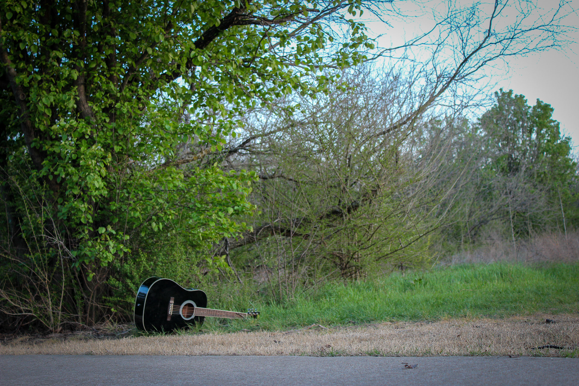 Untitled, Photograph, 2021