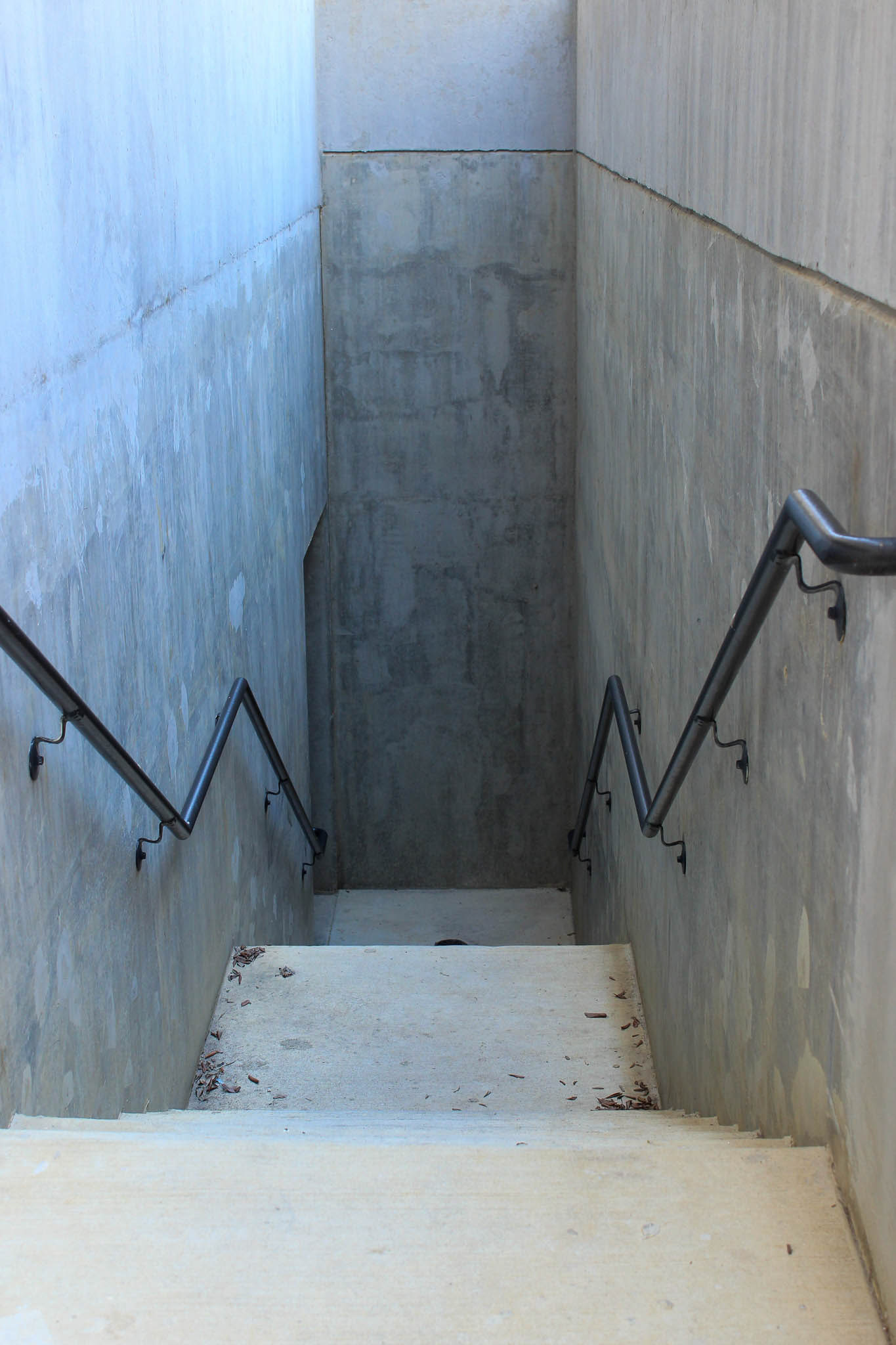 Untitled, Photograph, 2023