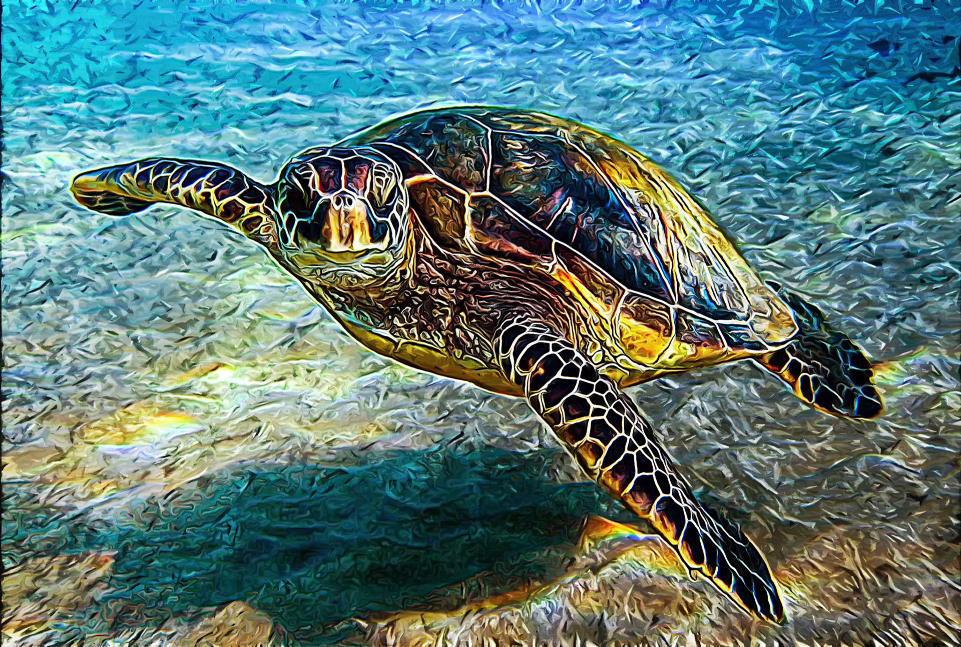 Sea Turtle