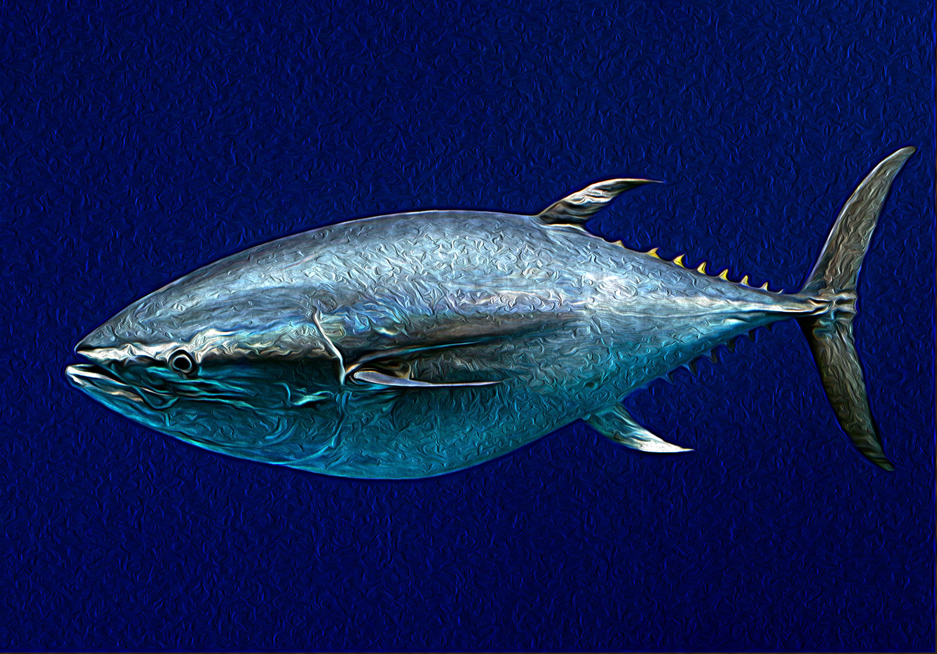 Blue Fin Tuna