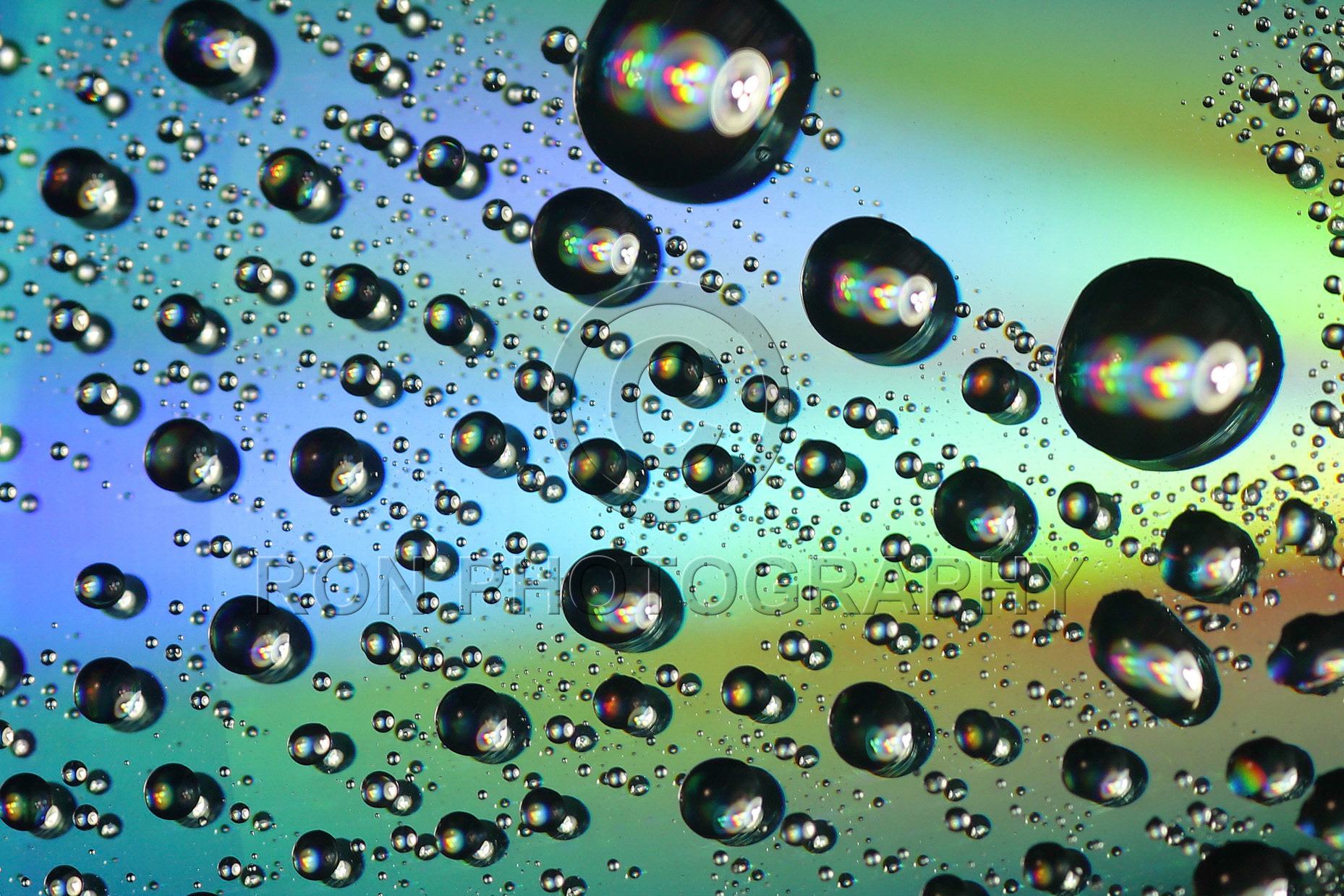 Abstract Water Droplets #31
