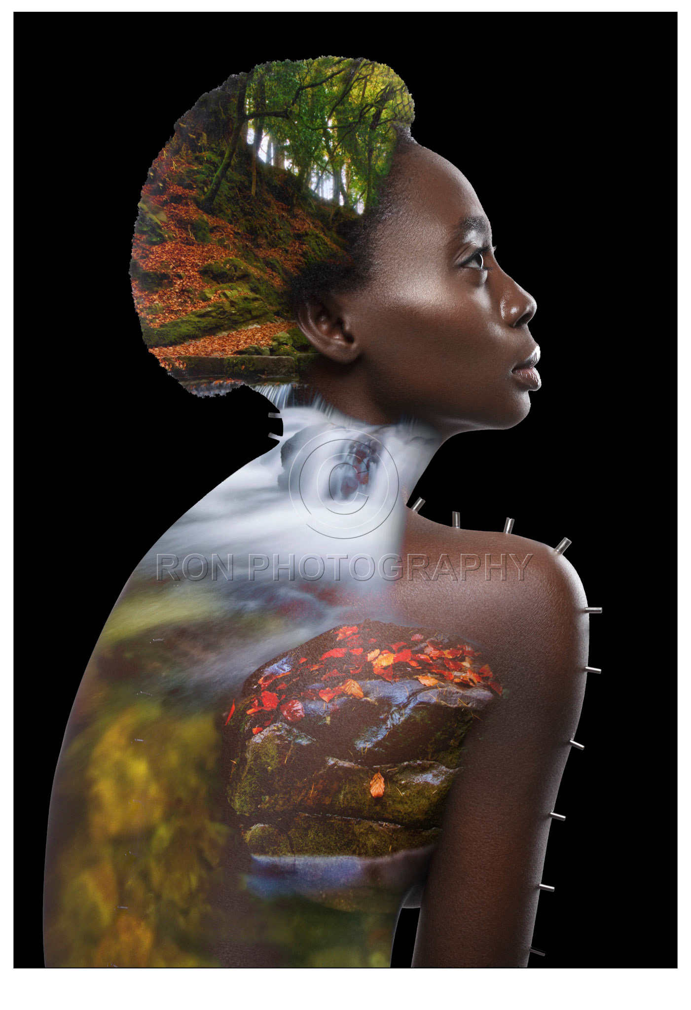 God Creation V