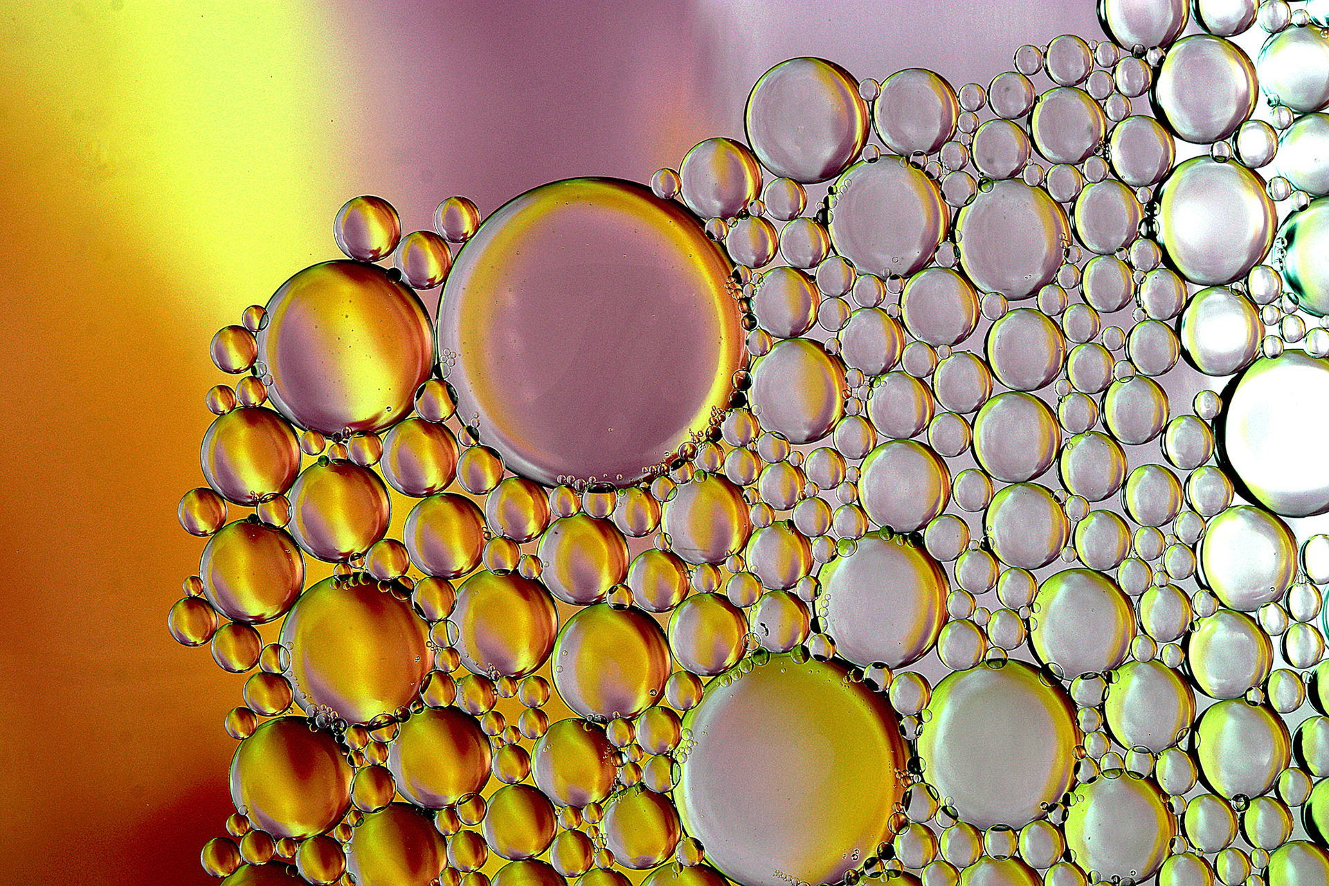 Oil and Water #58