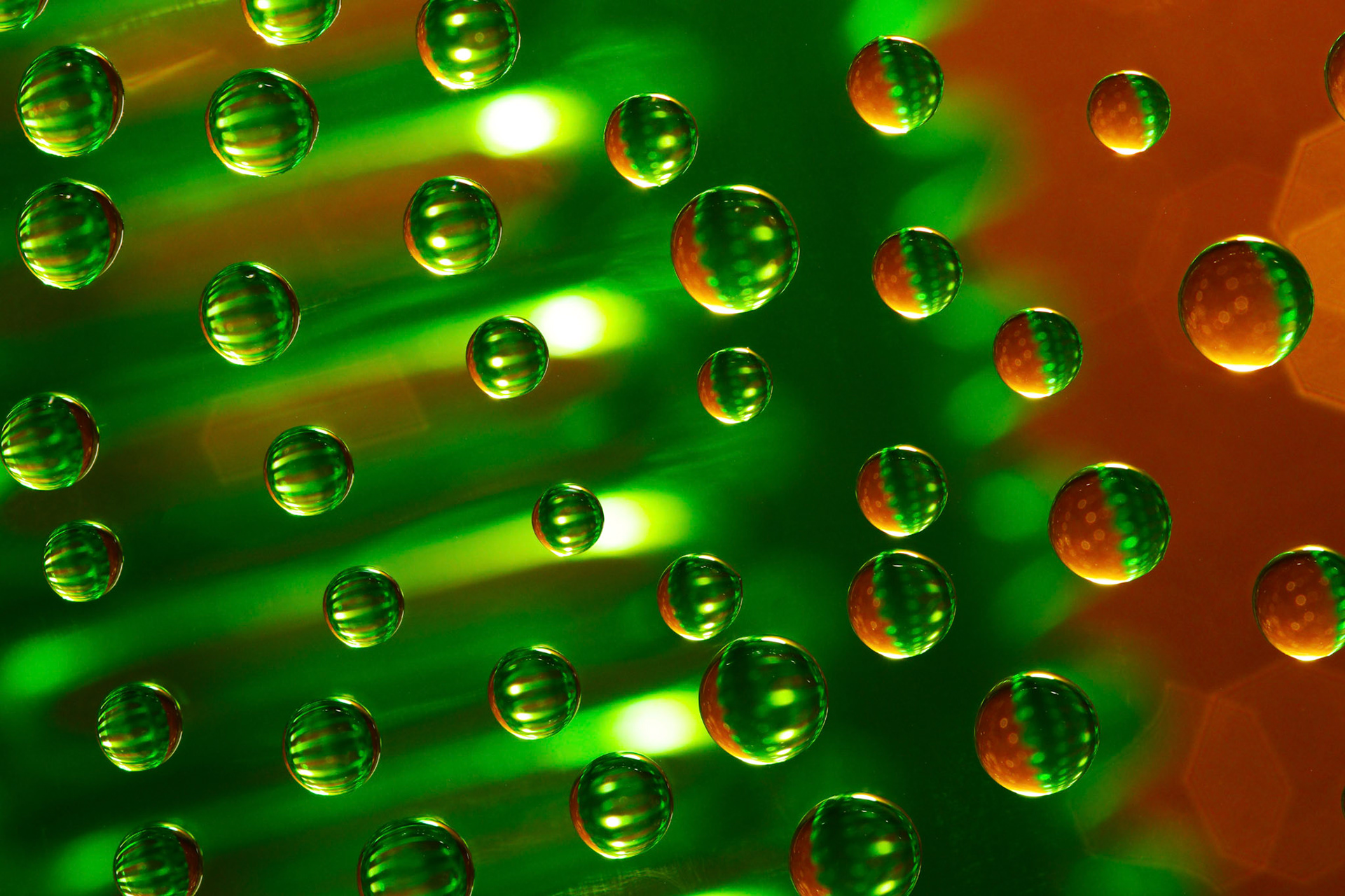 Micro Magic #40