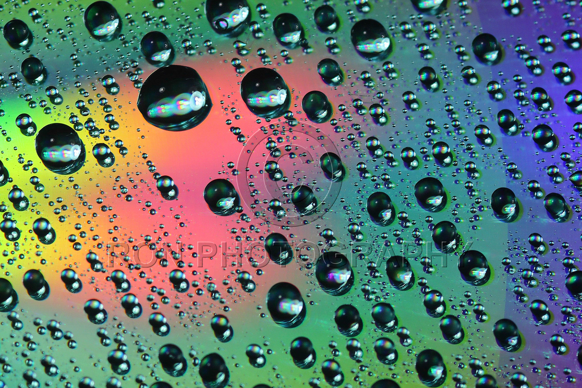 Abstract Water Droplets #32