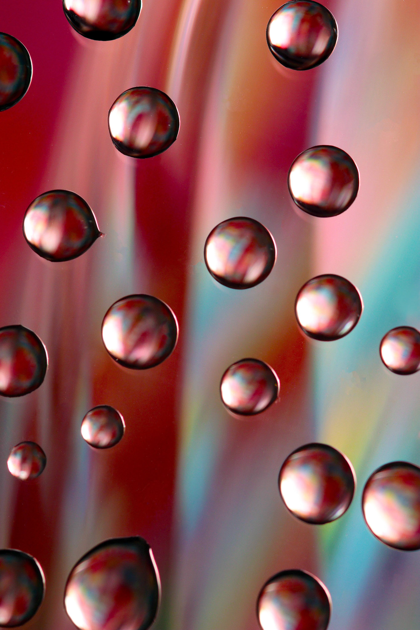 Micro Magic #62